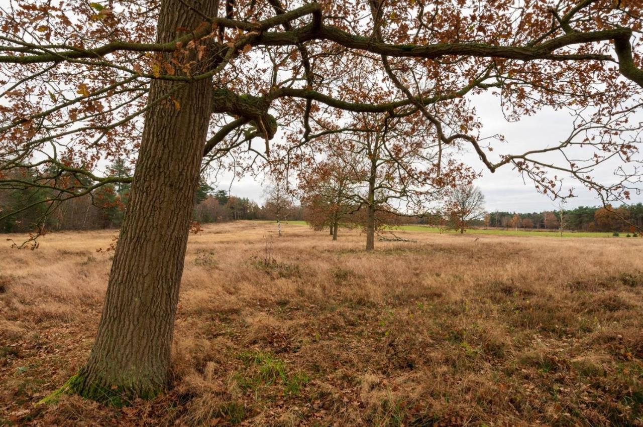 "Dennenhuisje" Op Bospark Ijsselheide Hattemerbroek Exterior foto